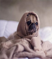 乐东有这样的手机号码，留不住钱，你中枪了吗？