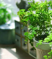 乐东专属于你的开运指南，助你鸿运当头福满身！