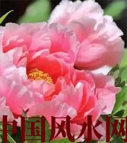 乐东预示你财运上升，姻缘可成的梦境，快来看看吧！