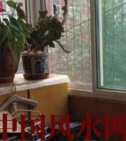 乐东有这些坏习惯，只会让财运从你身边溜走~