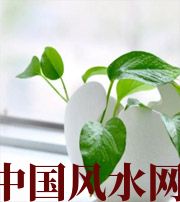 乐东家中摆放六种吉祥物，会打开您的财运大门！