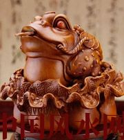 乐东解读金蟾最合适的位置，这样摆放更招财！