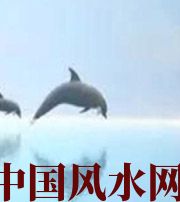 乐东做梦梦到这些，是要富裕的征兆！